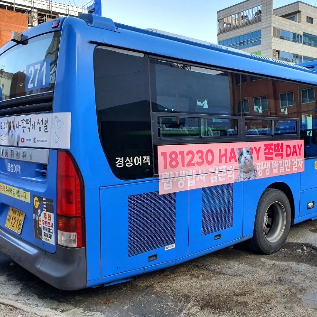 반려묘 쫀떡 팬클럽 버스 광고 진행